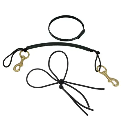 Stage kit de rigging para 5,7L, latón mosquetones inox 120 mm, bungee cord