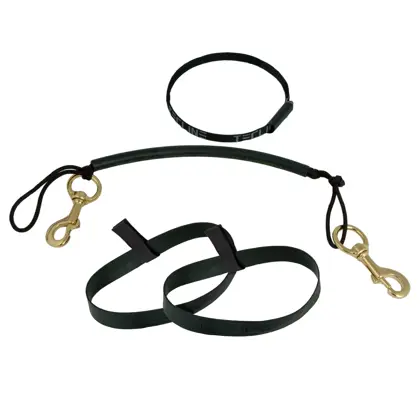 Stage kit de rigging para 10 & 11.1L, latón mosquetones inox 120 mm, goma bands