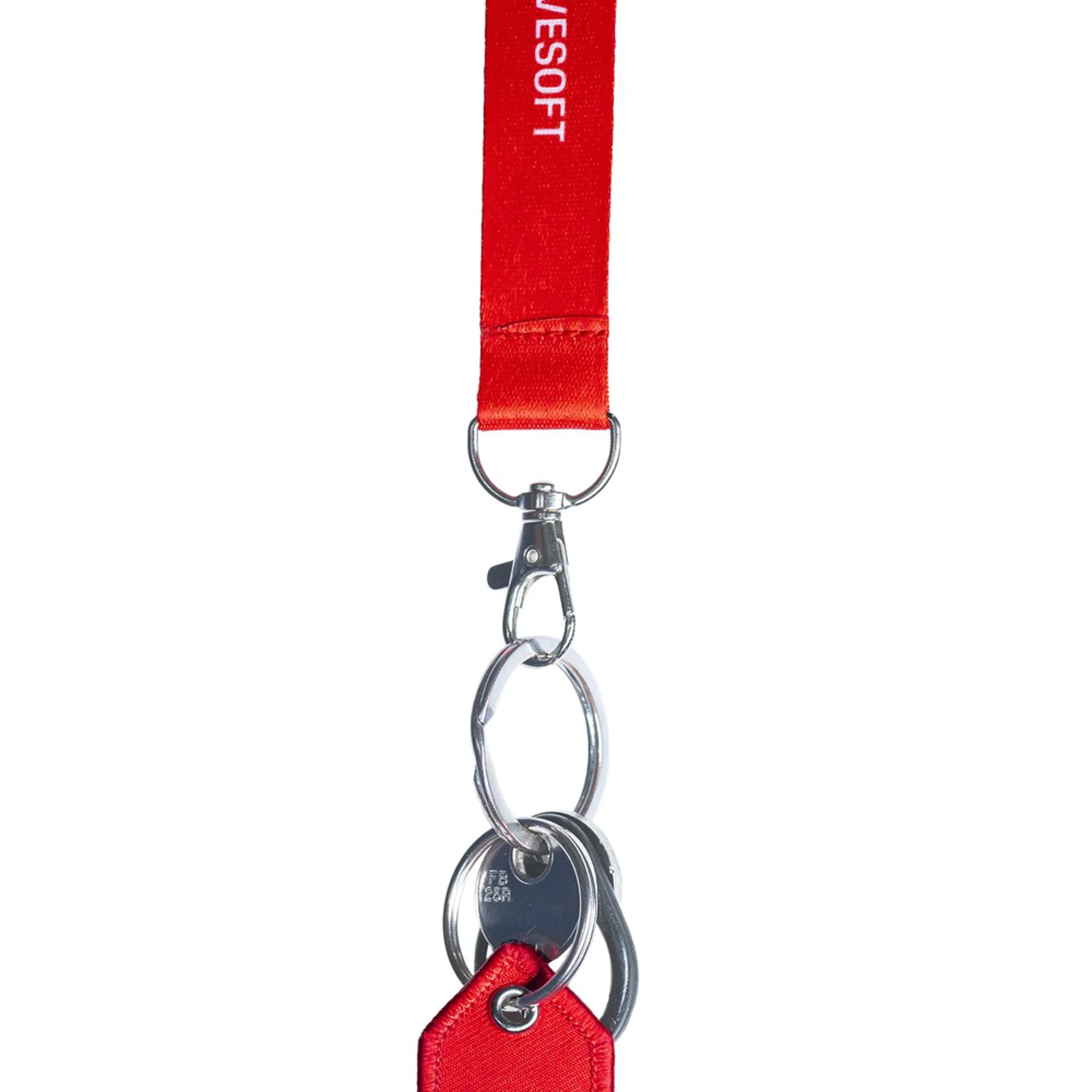 Lanyard